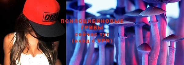 тгк Алексеевка