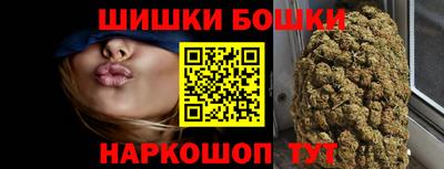 индика Тверь
