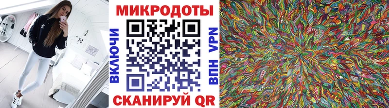 Псилоцибиновые грибы прущие грибы  Тара 