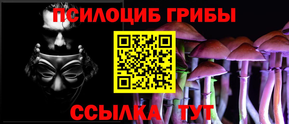 Тара  Галлюциногенные грибы Psilocybine cubensis  Вход с VPN 