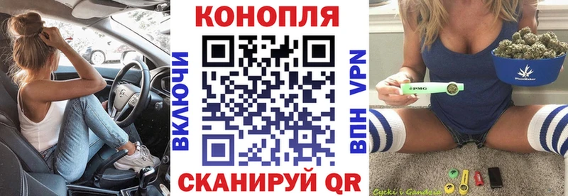 Бошки Шишки VHQ Тара