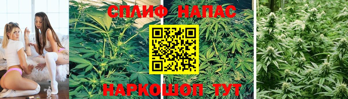 Конопля Bruce Banner  Бошки марихуана OG Kush  Тара  МАРИХУАНА планчик  Вход с VPN  Бошки марихуана MAZAR 